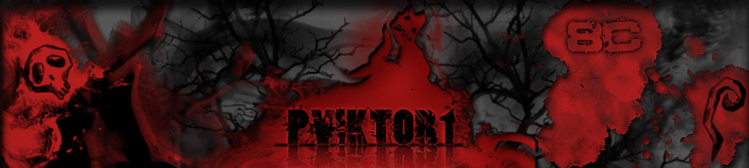 P�lfy Viktor oldala